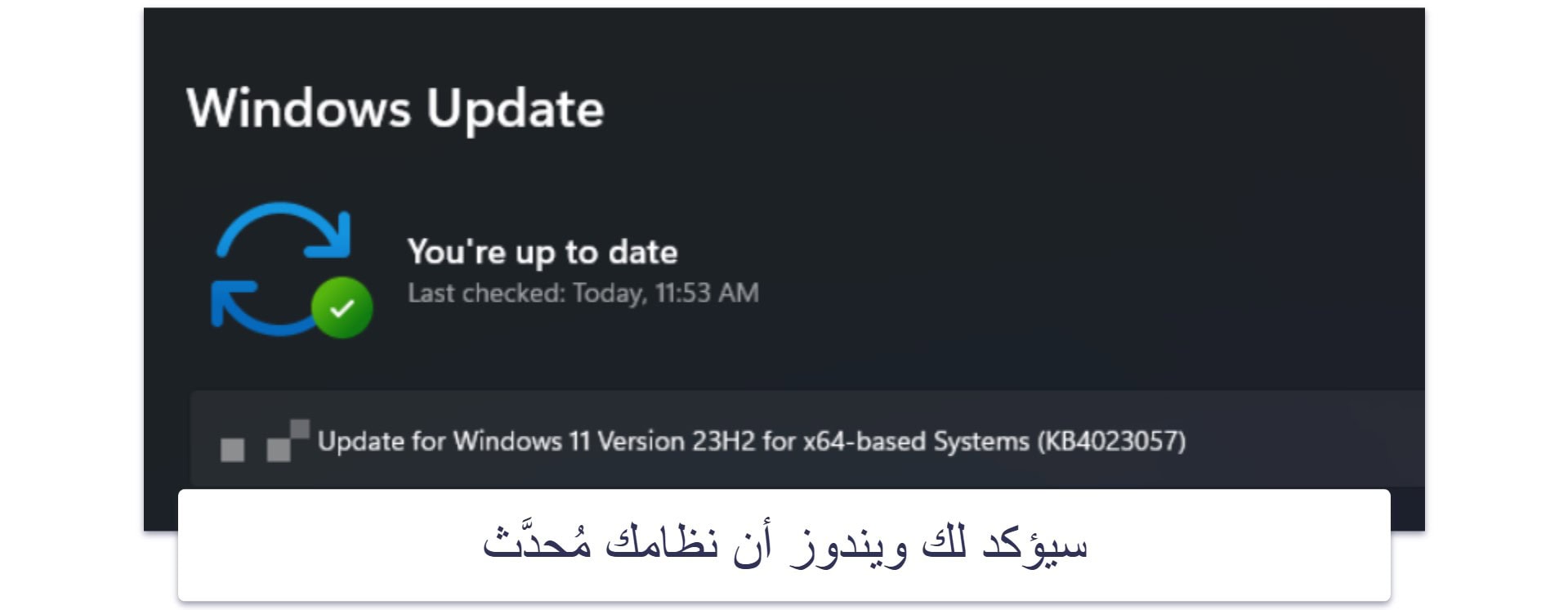 كيفية تحديث ويندوز 11