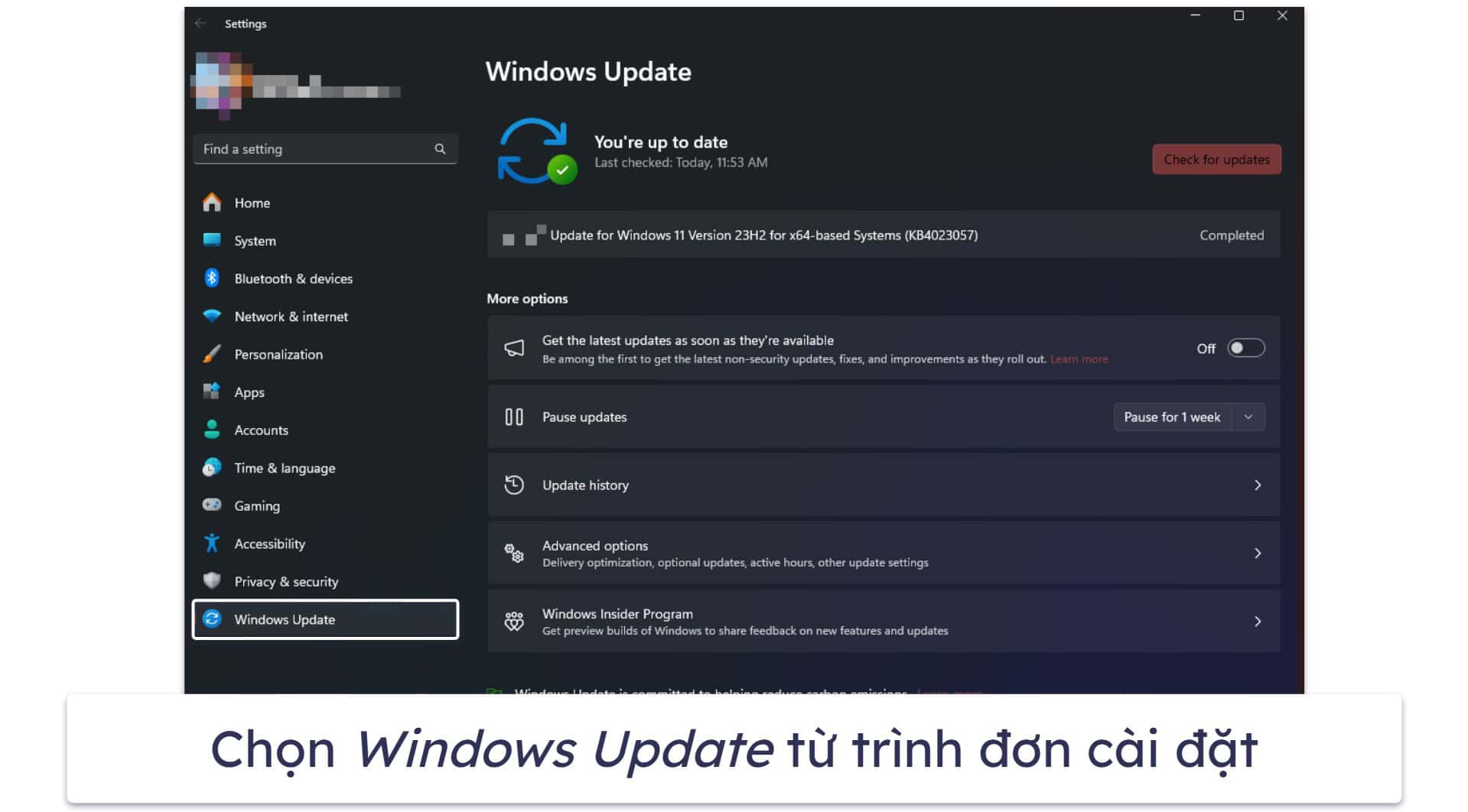 Cách cập nhật Windows 11