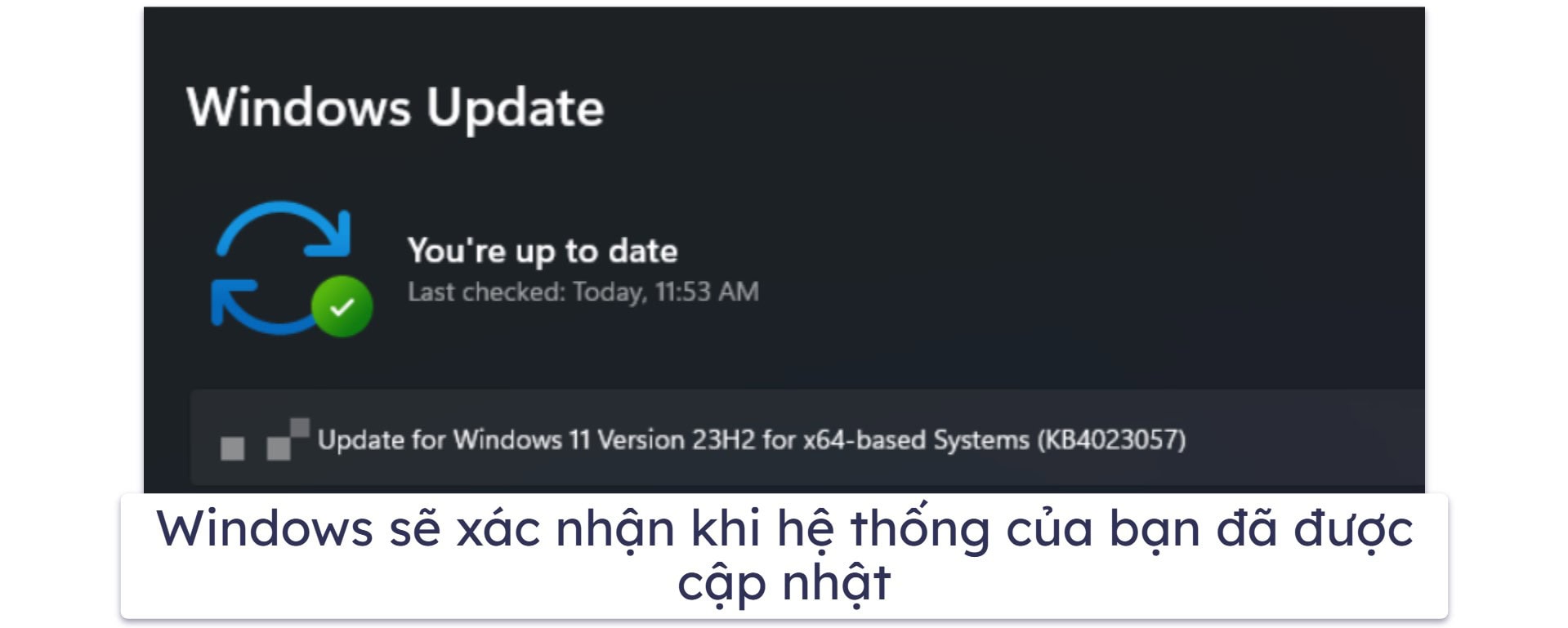 Cách cập nhật Windows 11