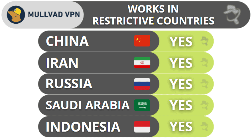 Mullvad VPN Bypassing Censorship