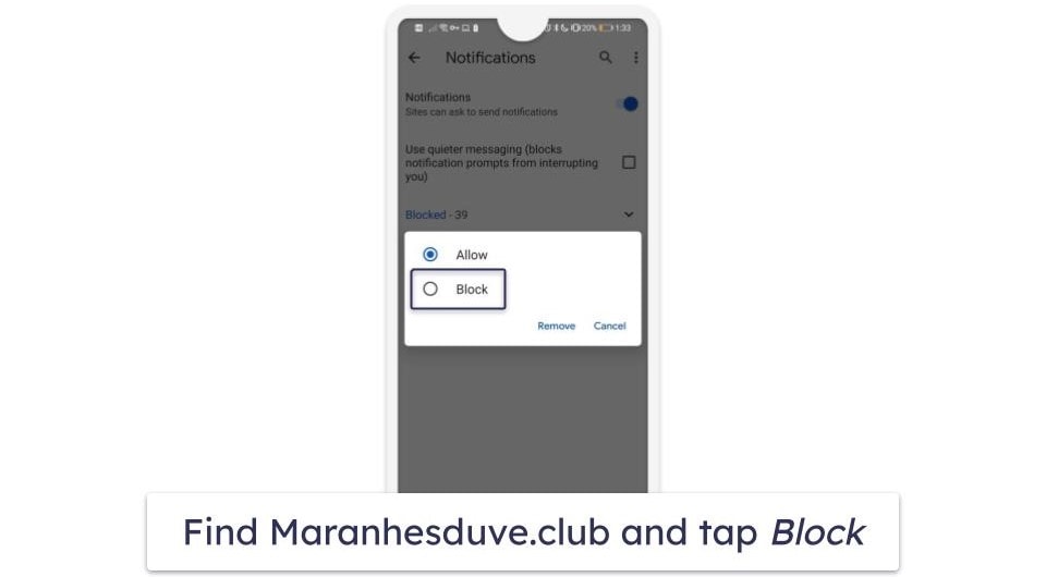 Preliminary Step: Block Maranhesduve.club Permissions