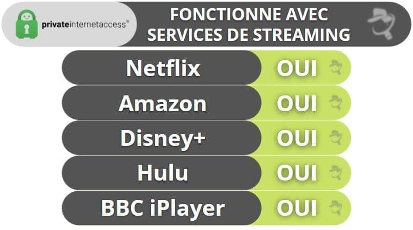 Private Internet Access : Streaming et torrent