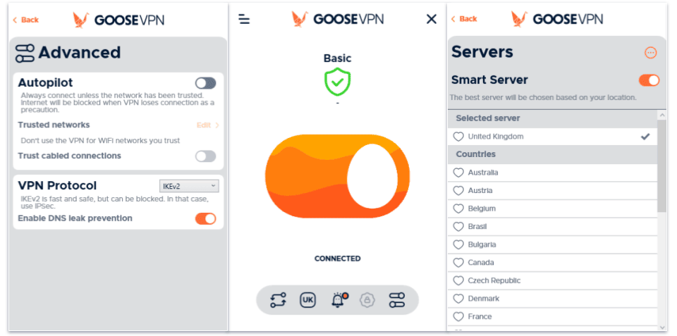 Goose VPN Full Review