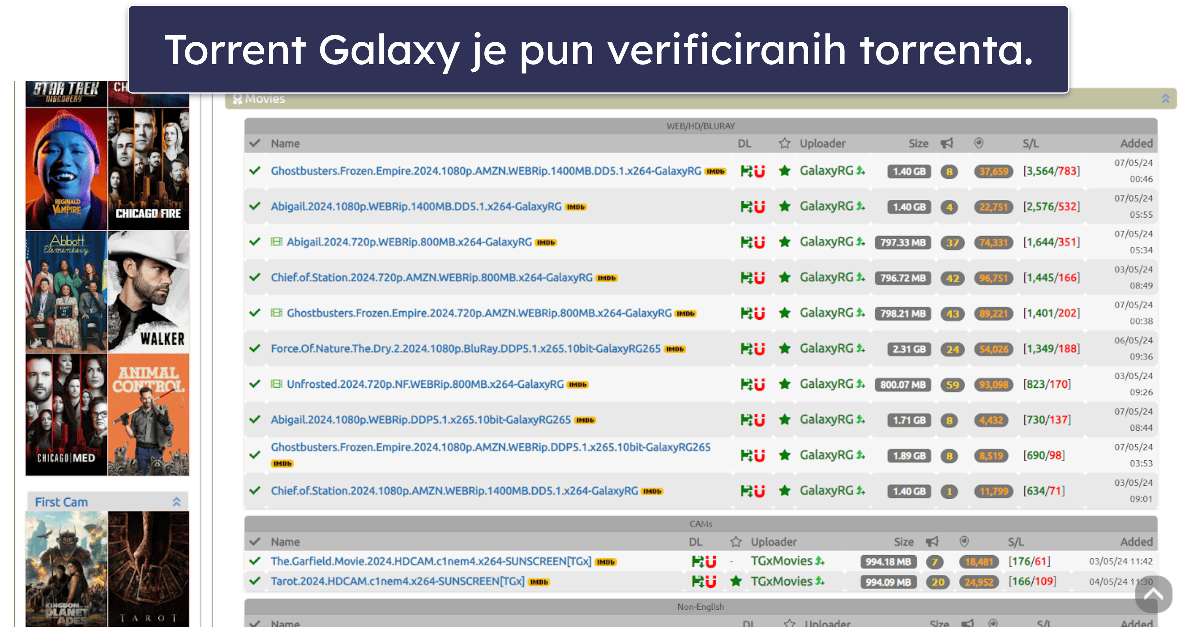 1. TorrentGalaxy