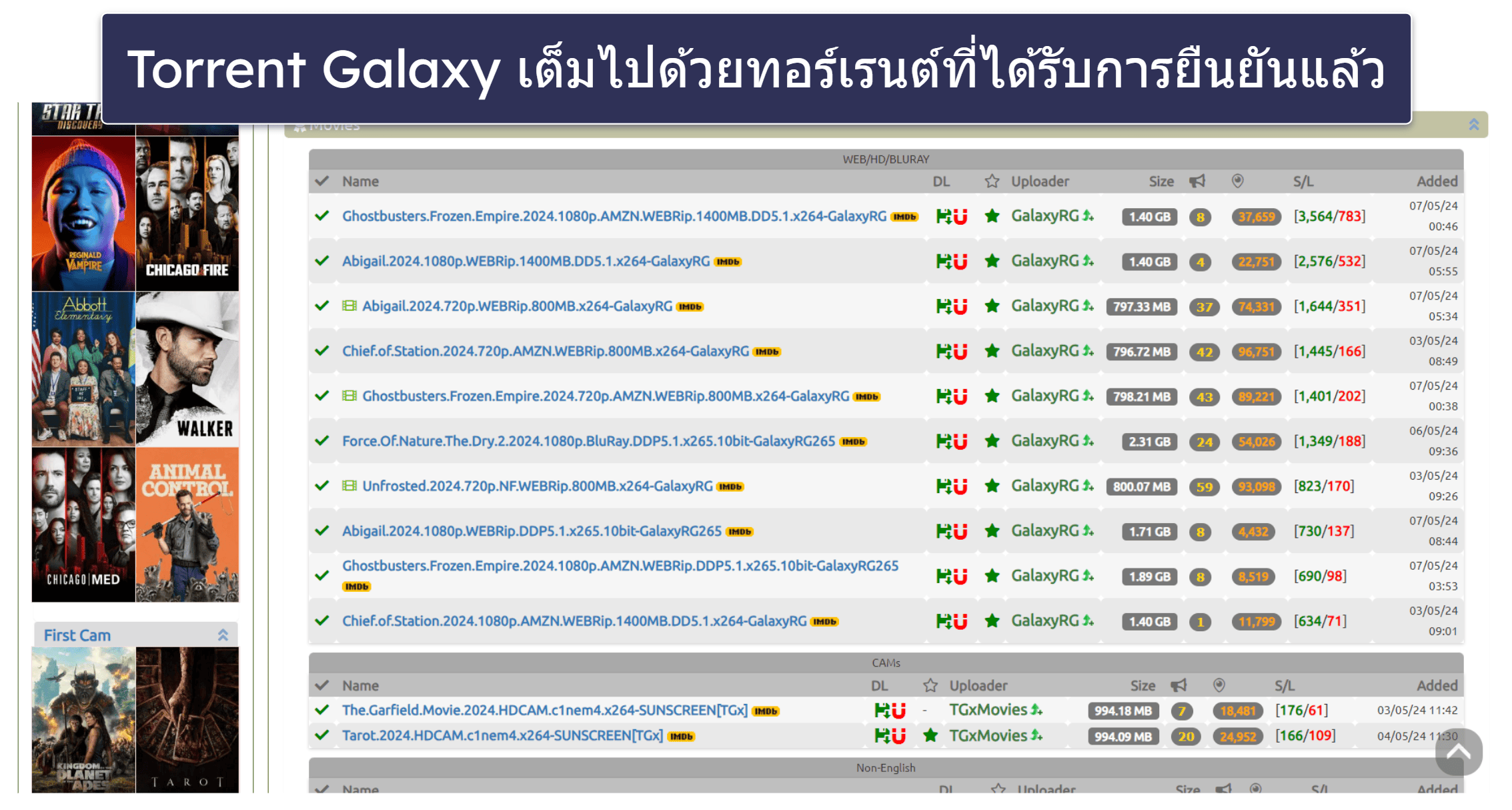 1. TorrentGalaxy