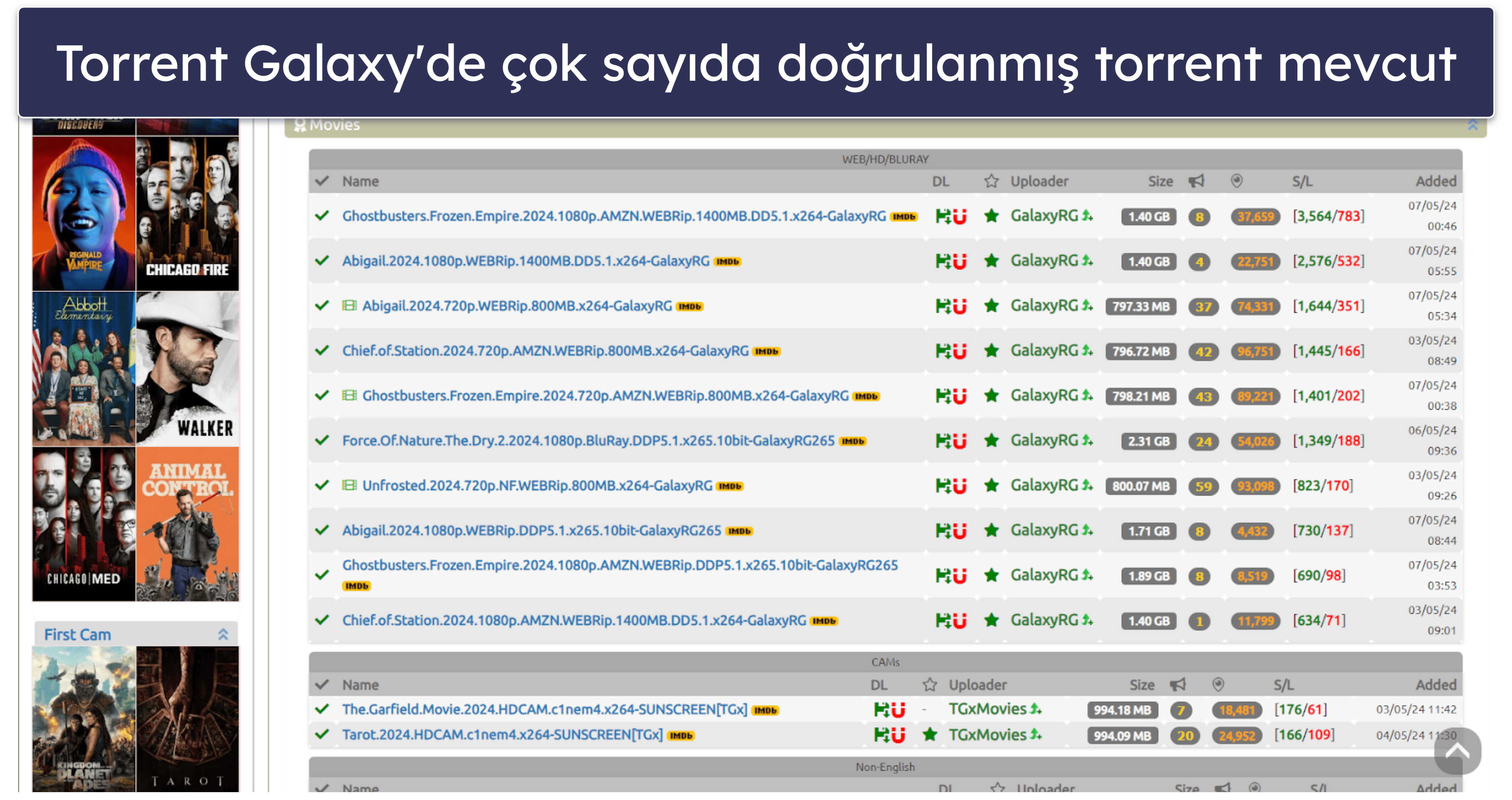 1. TorrentGalaxy