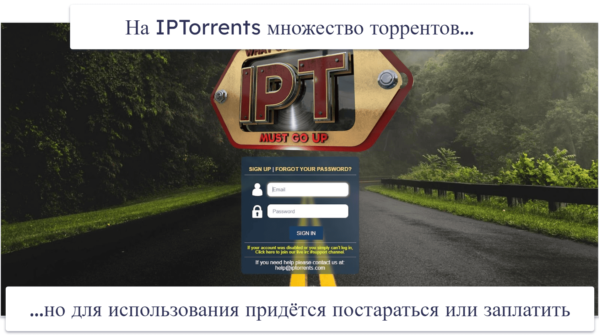 9. IPTorrents