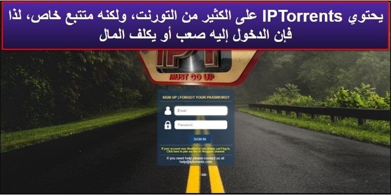 9. IPTorrents