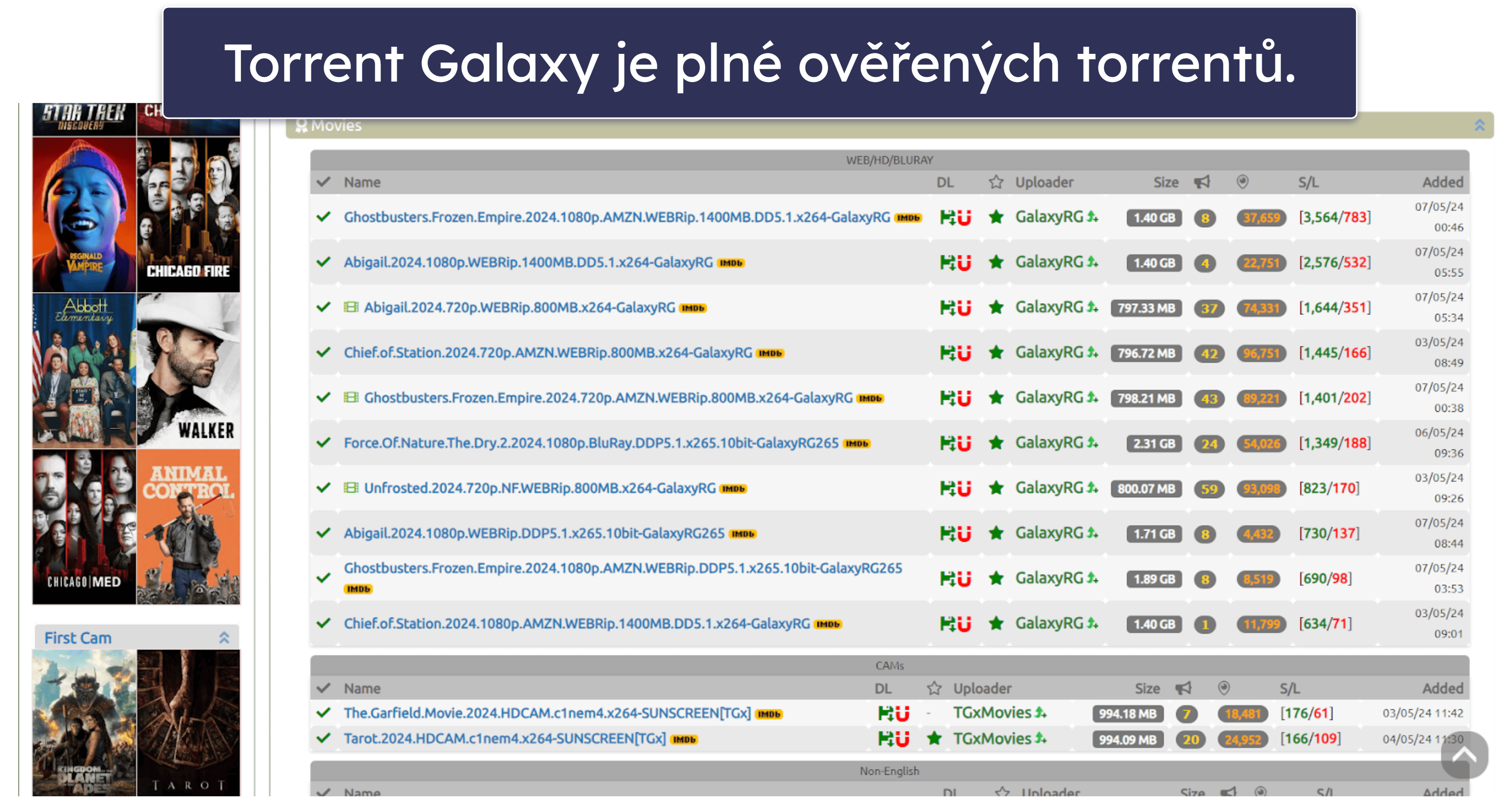 1. TorrentGalaxy