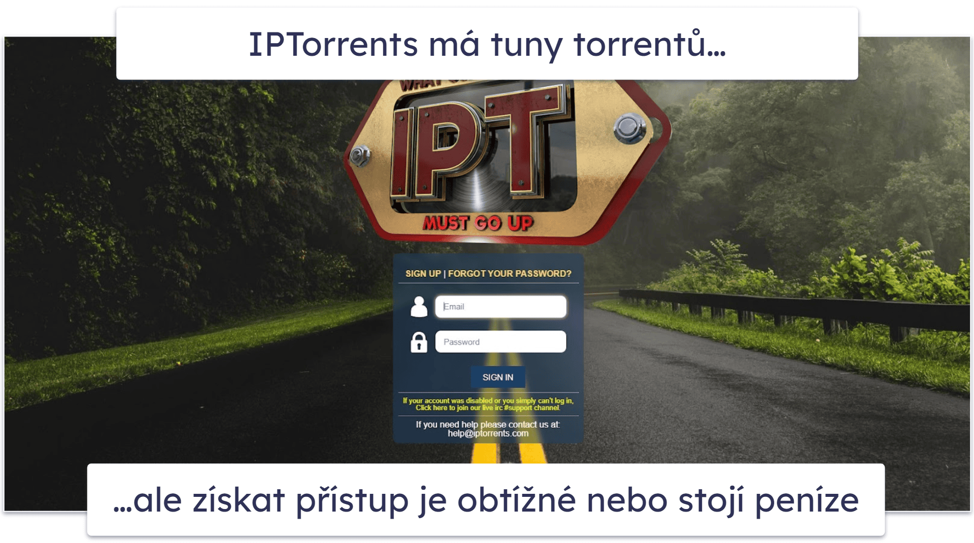 9. IPTorrents