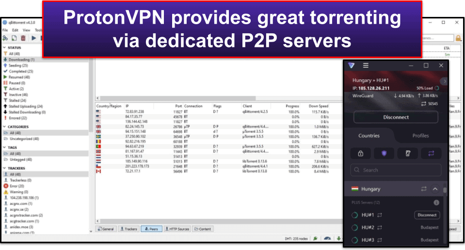 ProtonVPN Torrenting Support