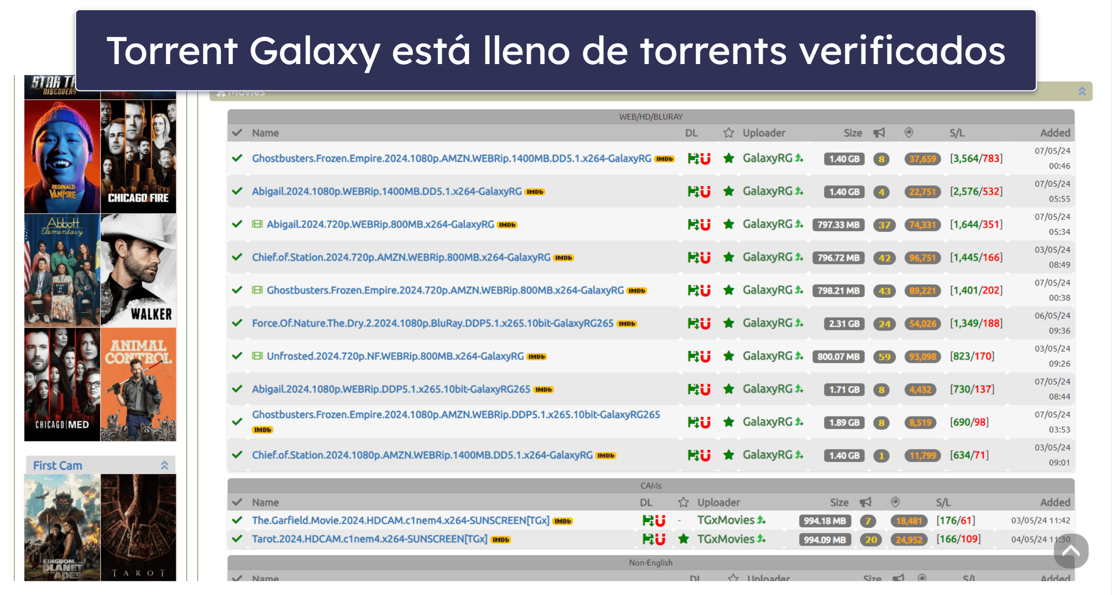 1. TorrentGalaxy