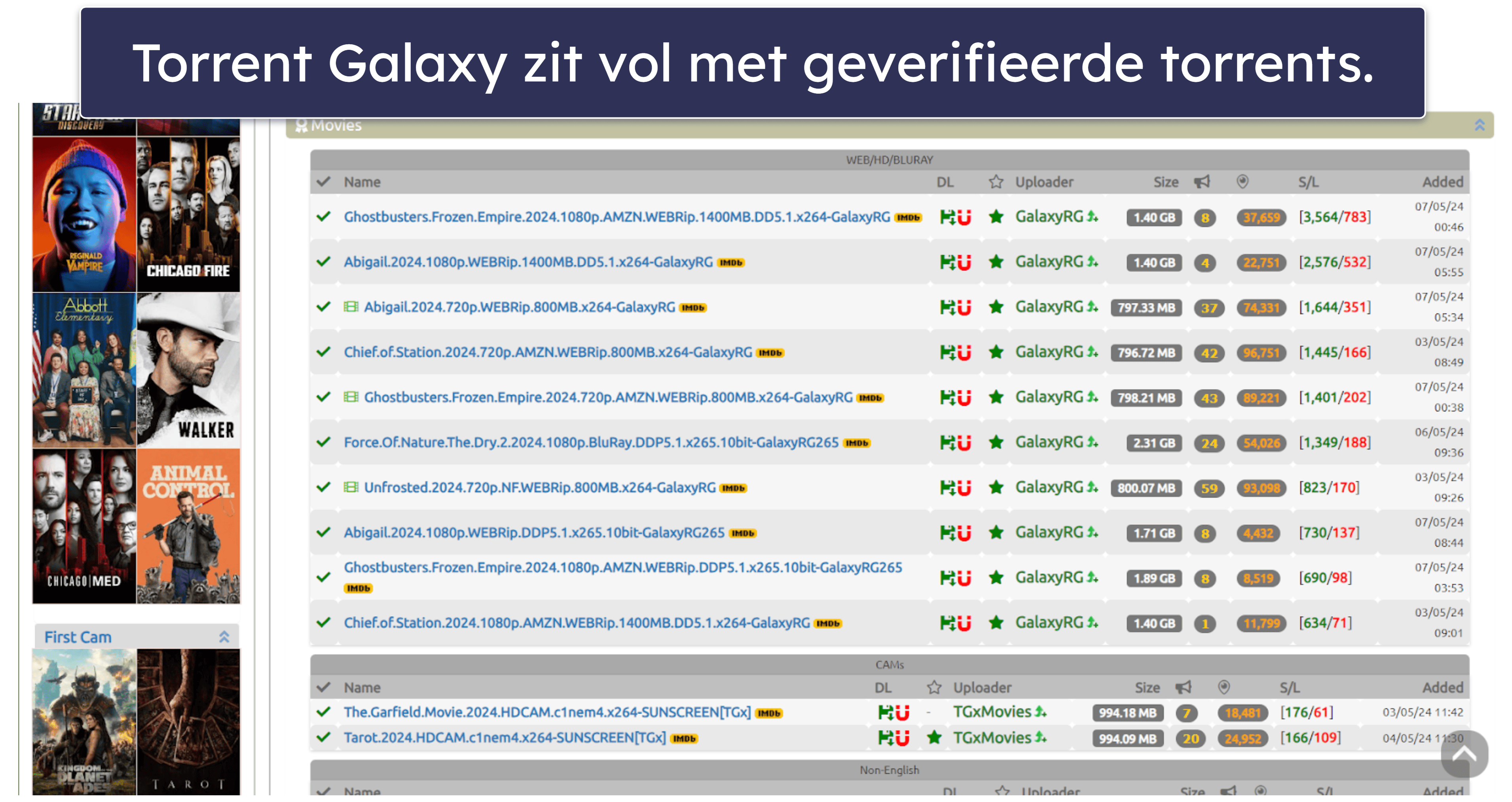 1. TorrentGalaxy