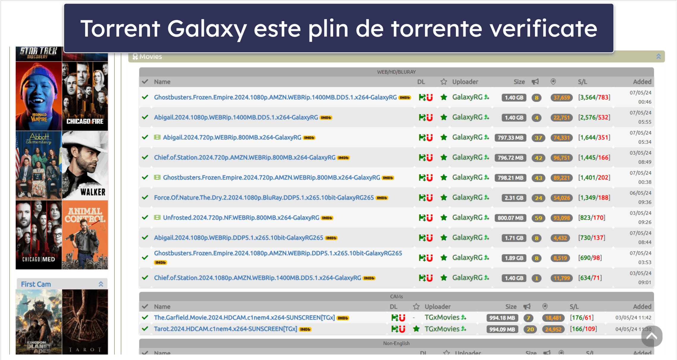 1. TorrentGalaxy