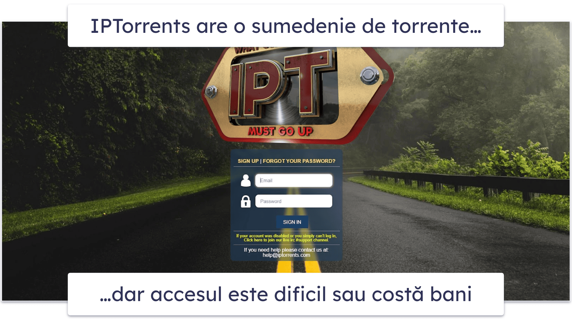 9. IPTorrents