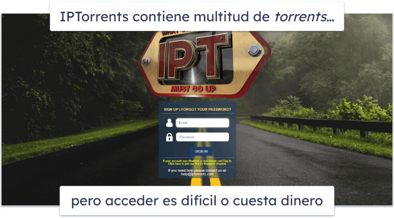 9. IPTorrents