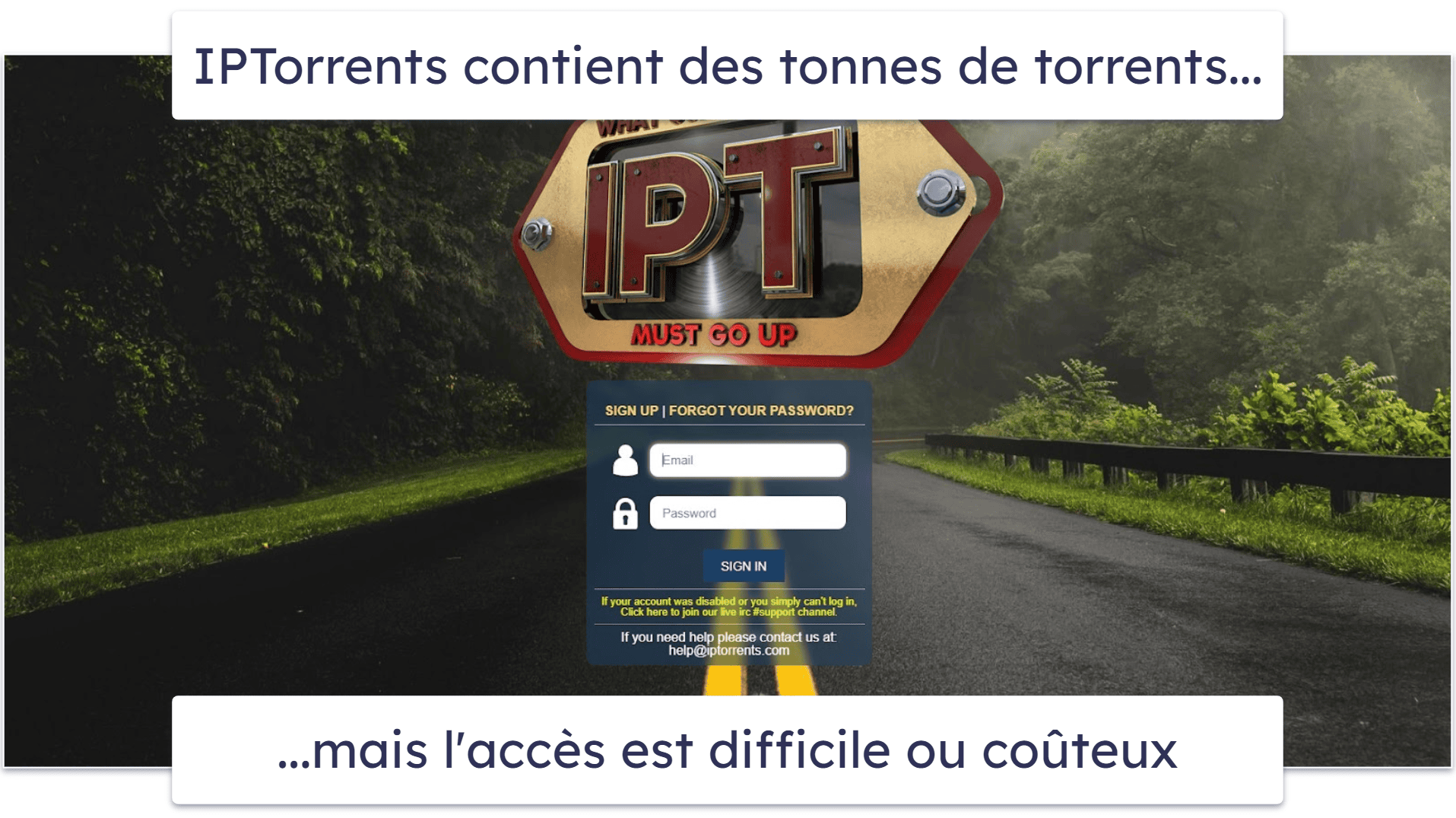 9. IPTorrents