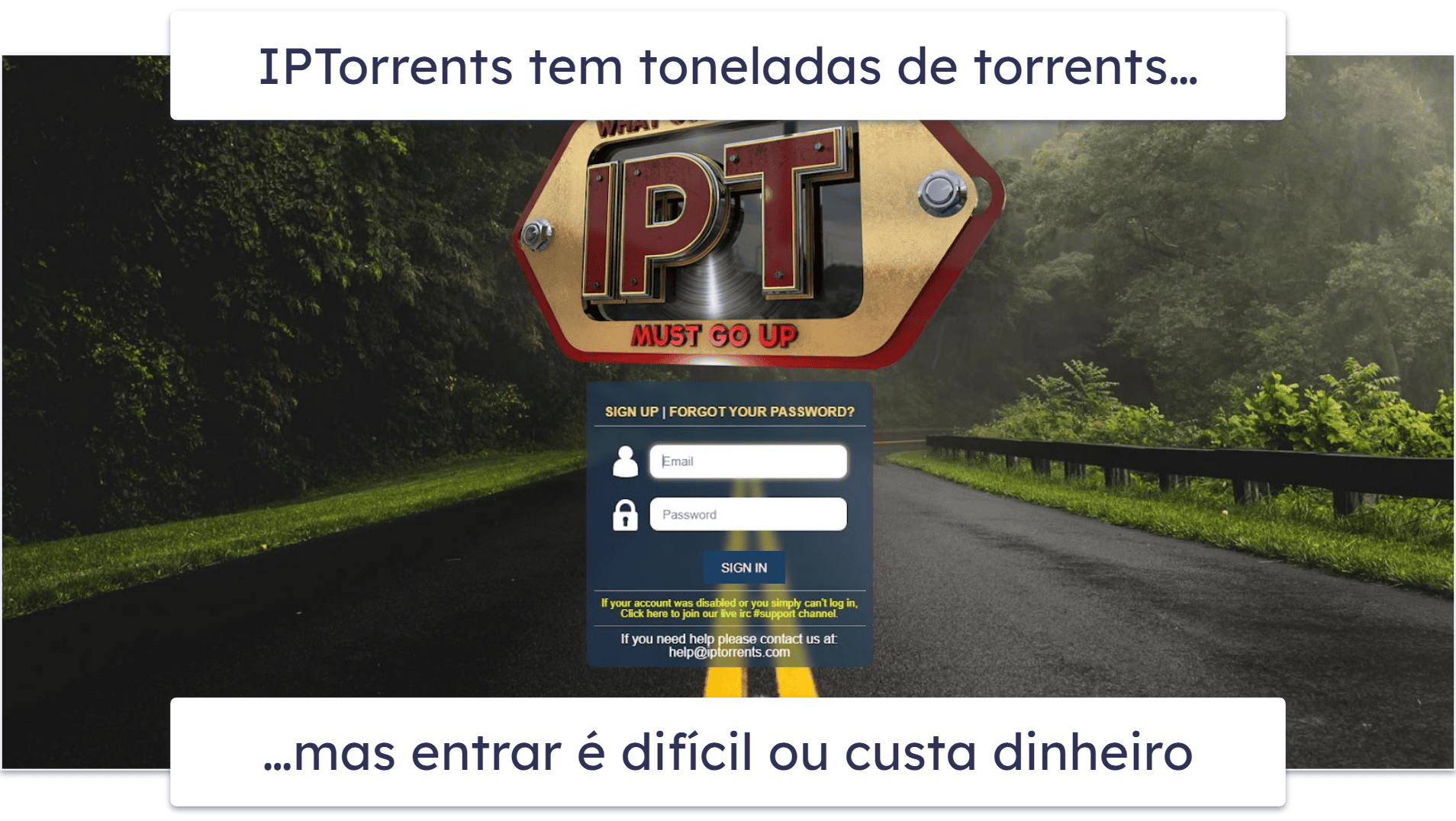 9. IPTorrents
