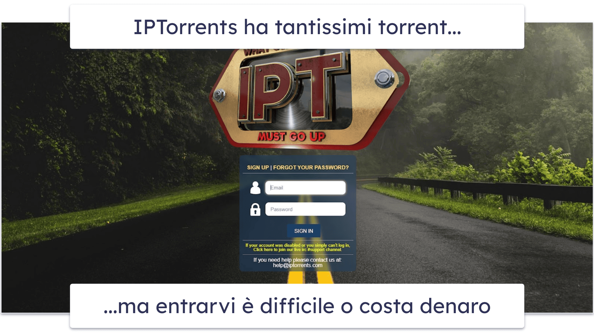 9. IPTorrents