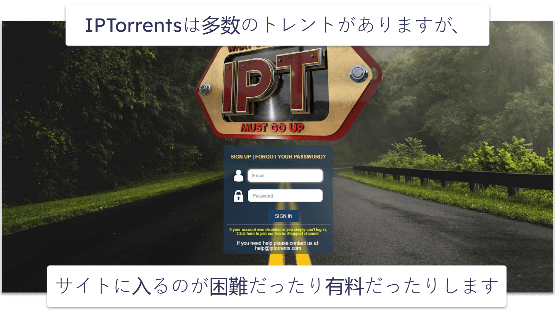 9. IPTorrents