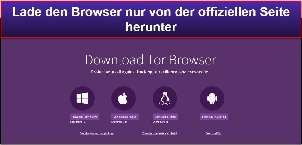 Wie Du den Tor-Browser einrichtest und benutzt