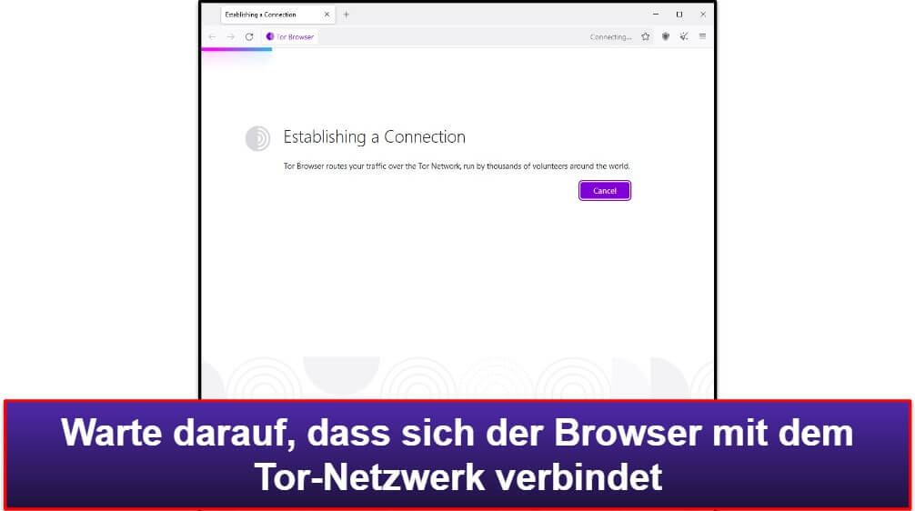 Wie Du den Tor-Browser einrichtest und benutzt