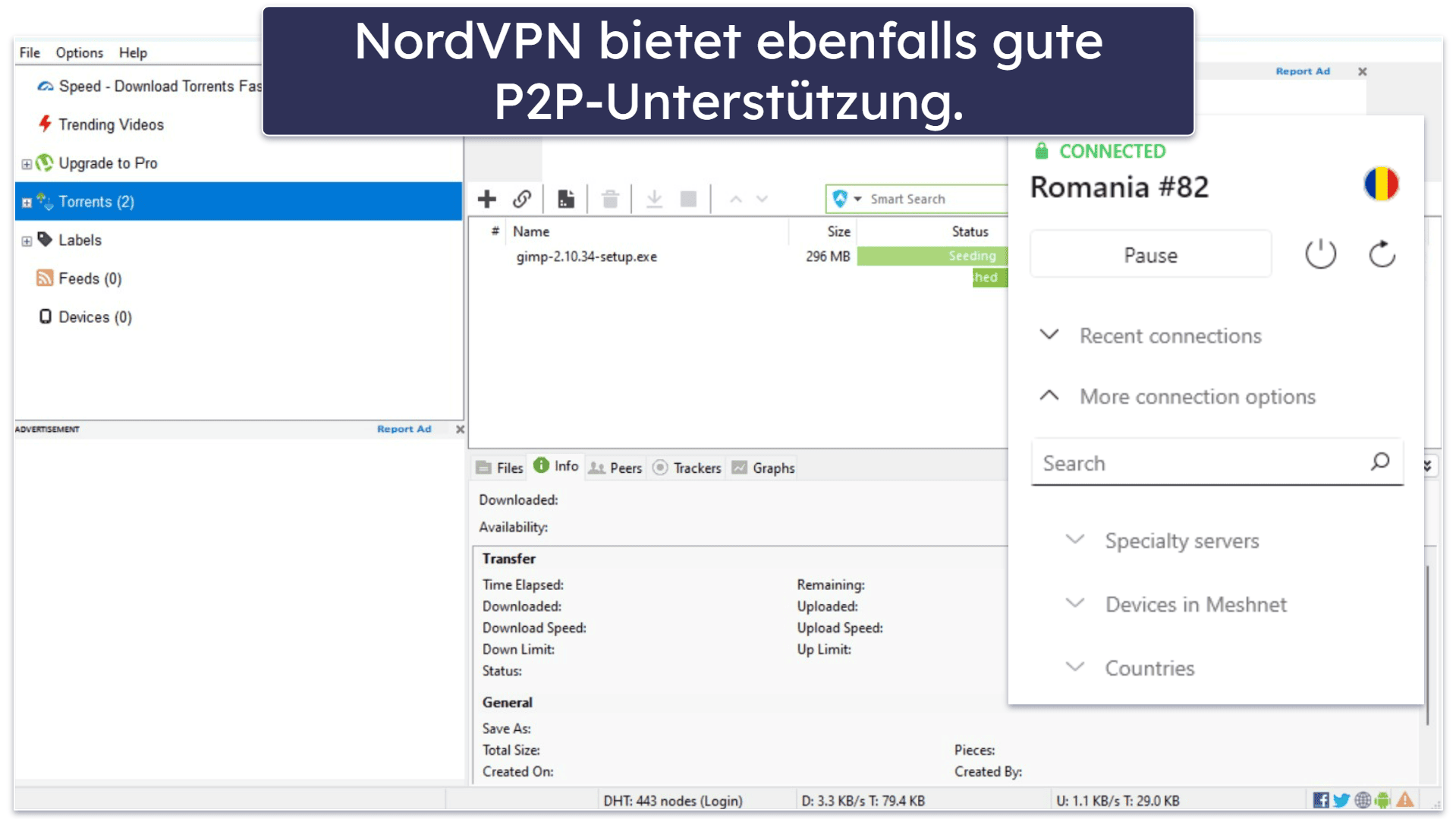 Torrenting — Beide VPNs eignen sich gut für Torrenting
