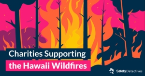 A List of Charities to Support the Maui Wildfires