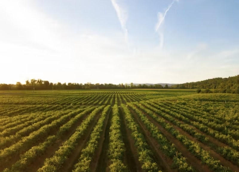 New US Bill Addresses Cybersecurity Concerns In Agriculture