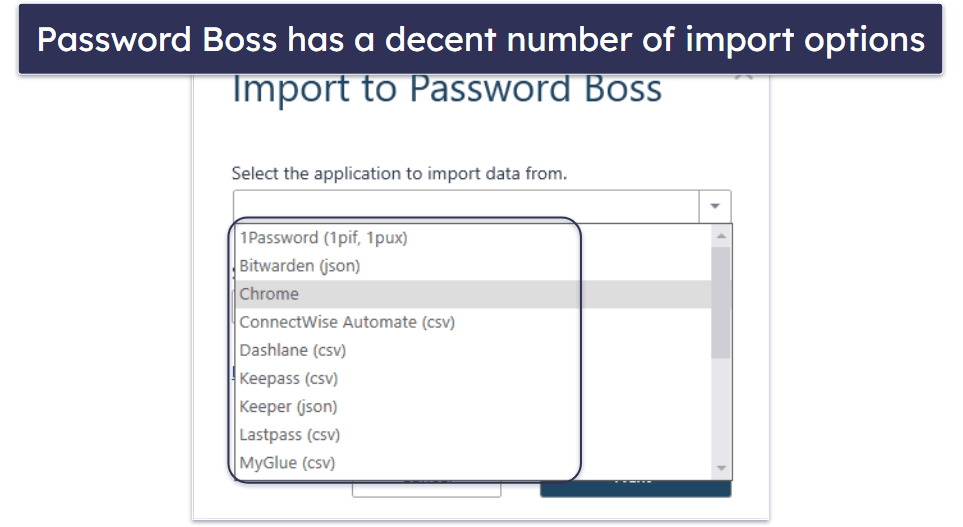 Password Boss Ease of Use and Setup