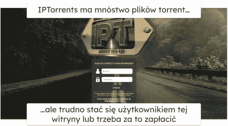 9. IPTorrents