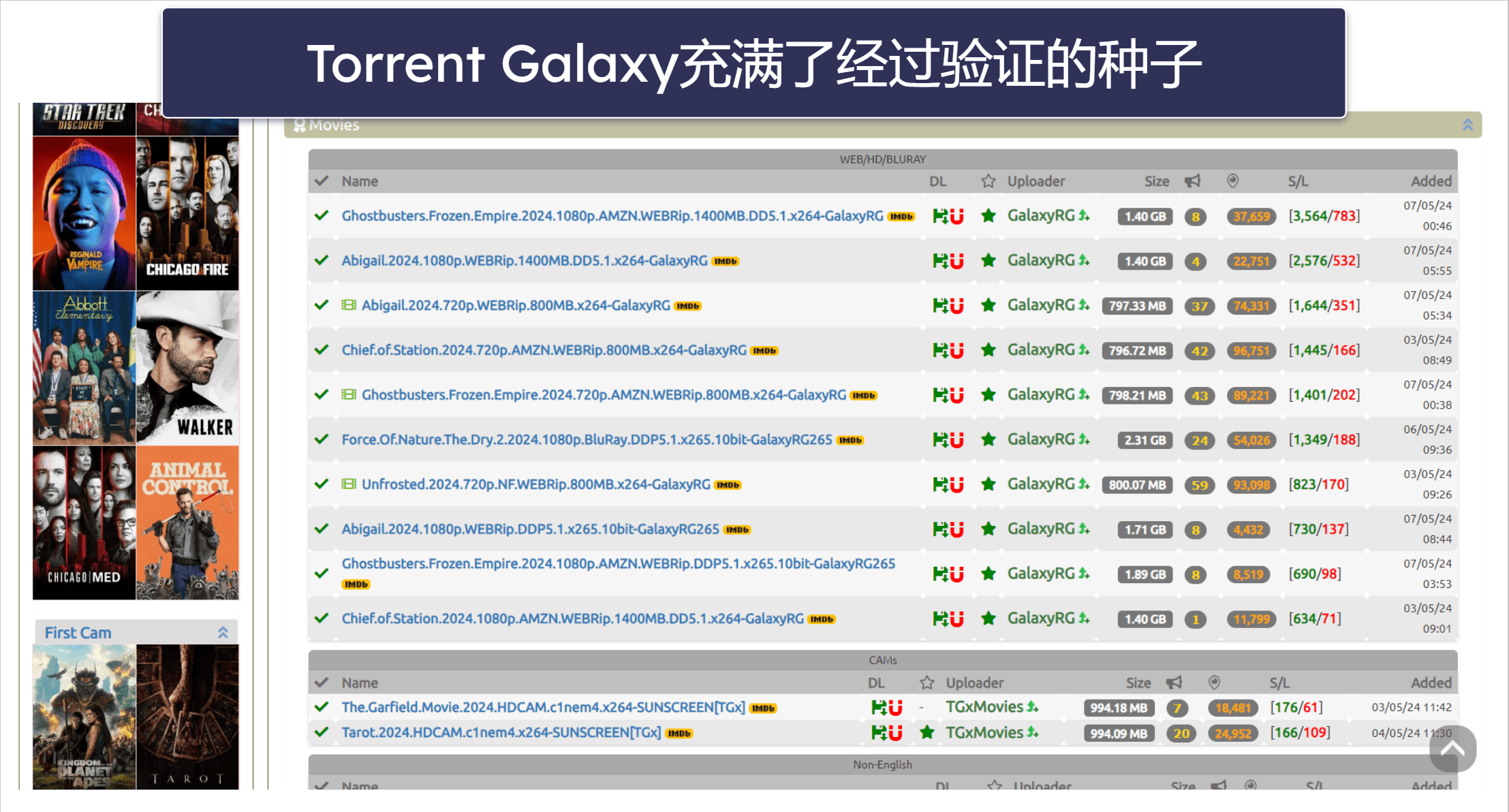 1. TorrentGalaxy
