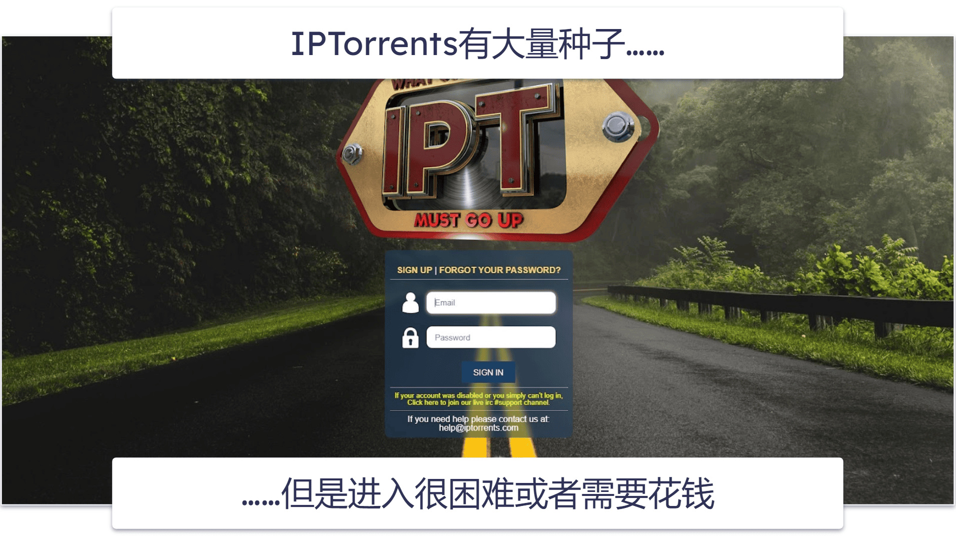 9. IPTorrents
