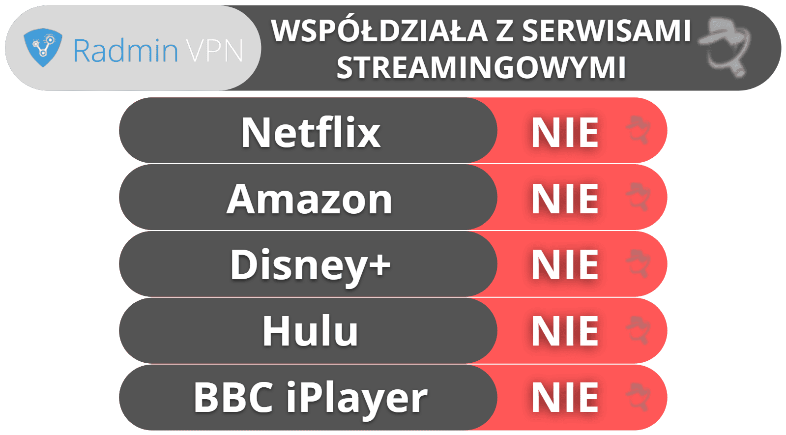 Streaming i torrenting Radmin VPN – opinie