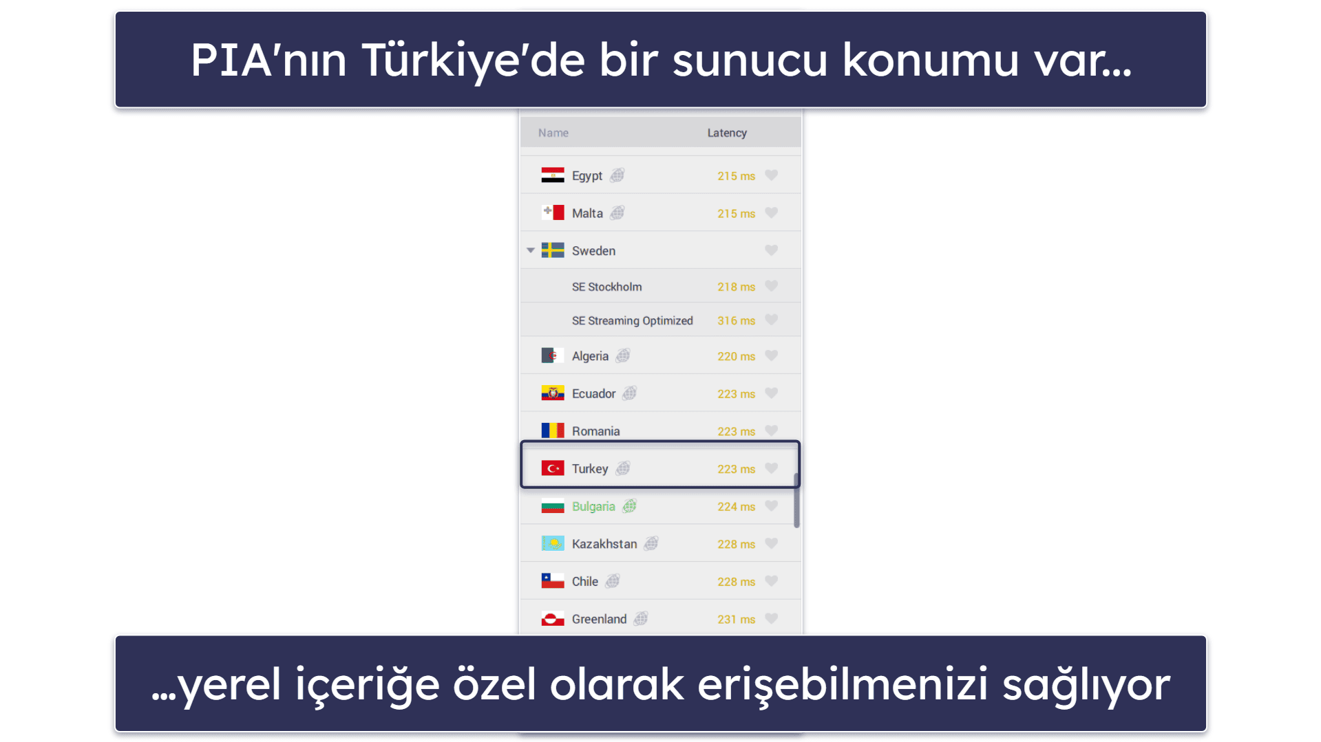🥈2. Private Internet Access — Türkiye için Özelleştirilebilir VPN