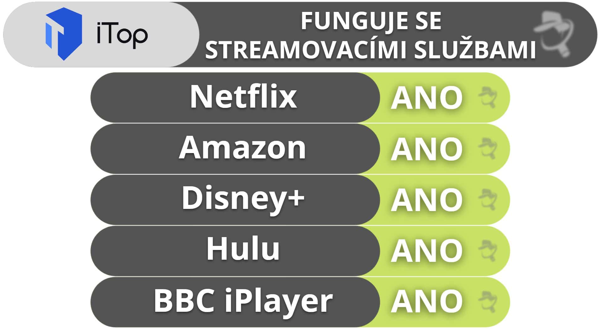 iTop VPN a streamování a torrentování