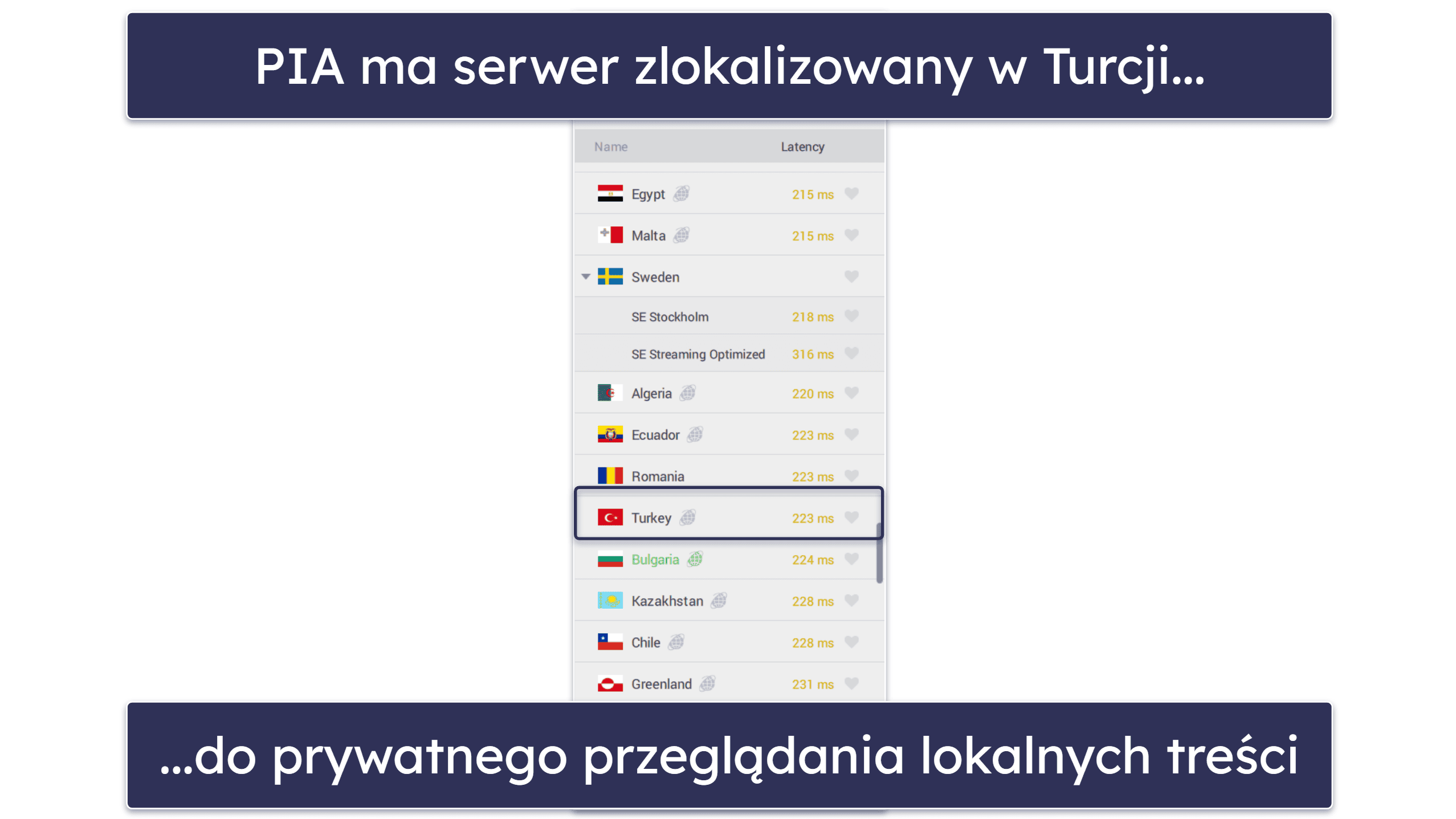 2. 🥈Private Internet Access – Konfigurowalny VPN dla Turcji