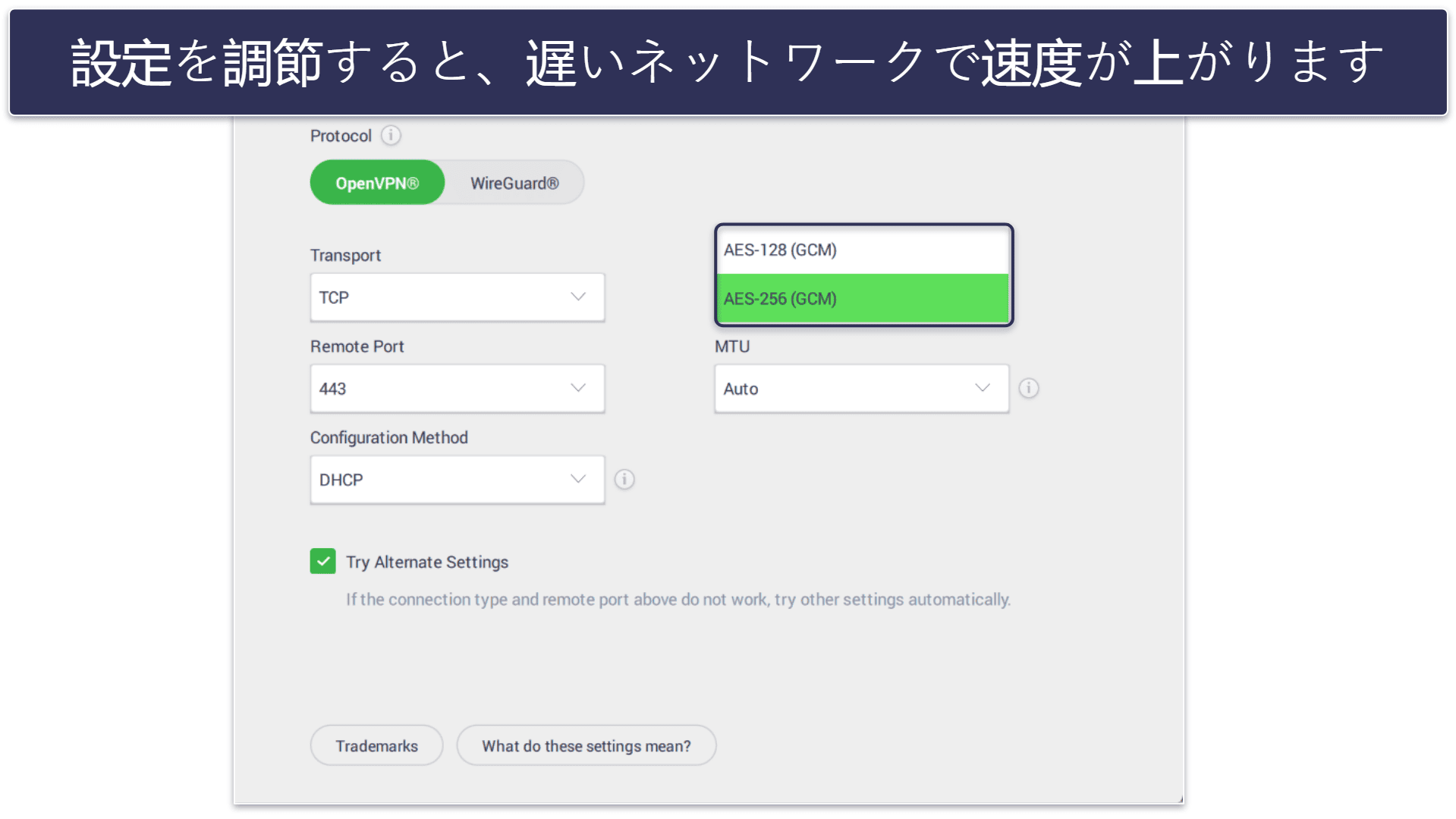 🥈2. Private Internet Access:フィリピンでトレントを行うのにピッタリのVPN