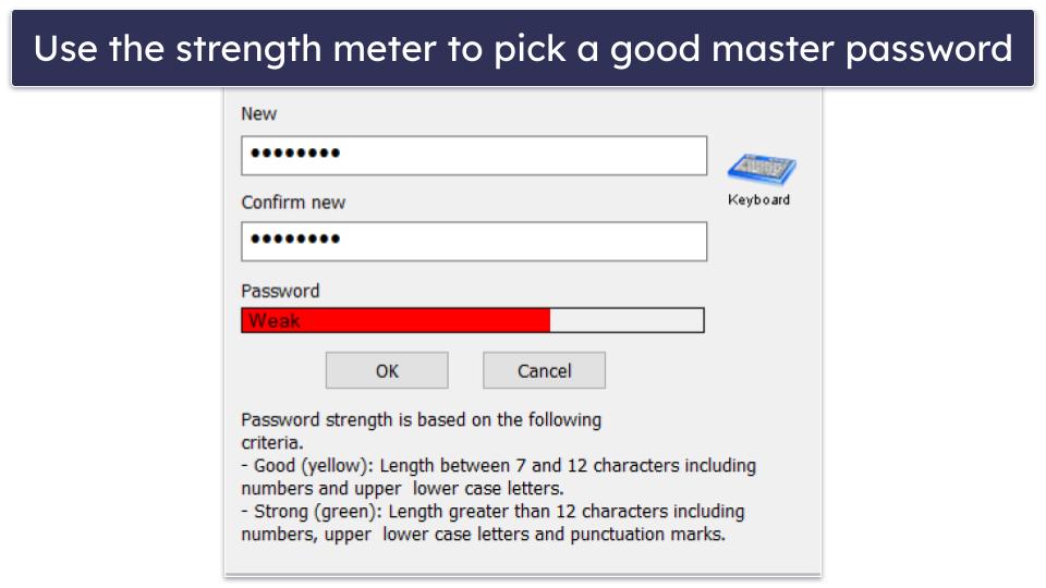 DataVault Password Manager Review 25-10
