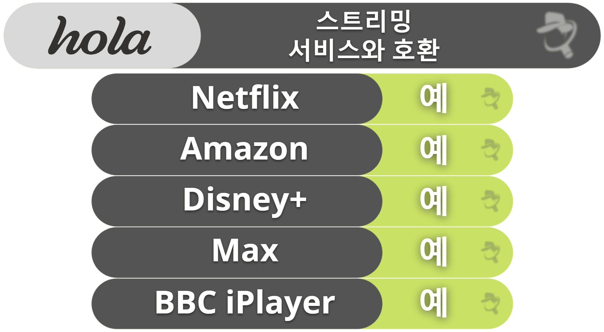 Hola 스트리밍 & 토렌트 지원: 준수한 스트리밍, 토렌트 지원은 없음