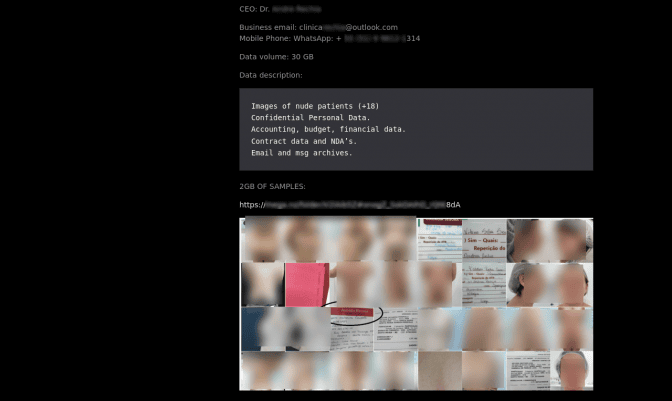 Real Ransomware Screenshot Healthcare Under Siege: Ransomware in 2024