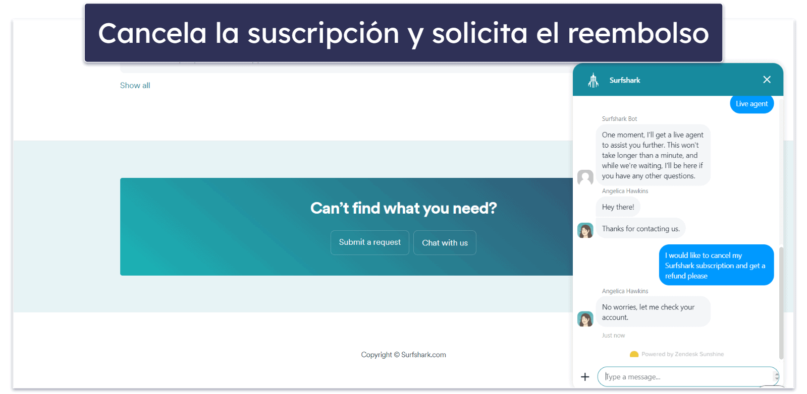 How much does Surfshark cost