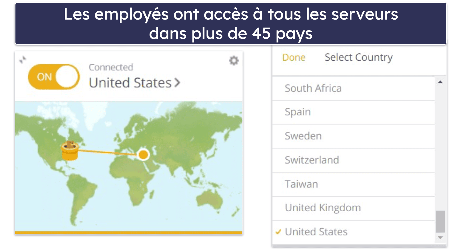9. TunnelBear — VPN d’entreprise pour débutants