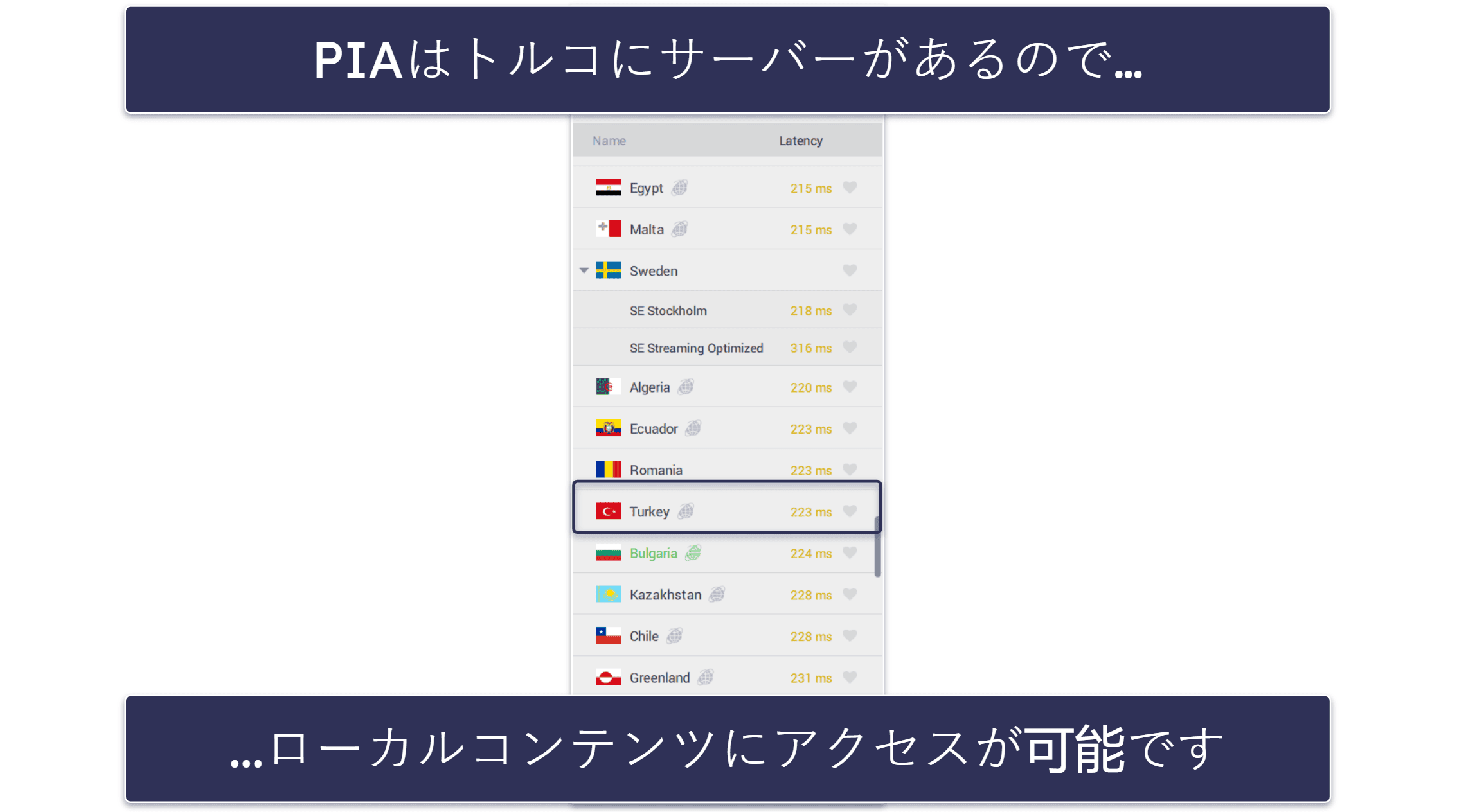 🥈2. Private Internet Access:トルコ向けにカスタマイズが可能なVPN
