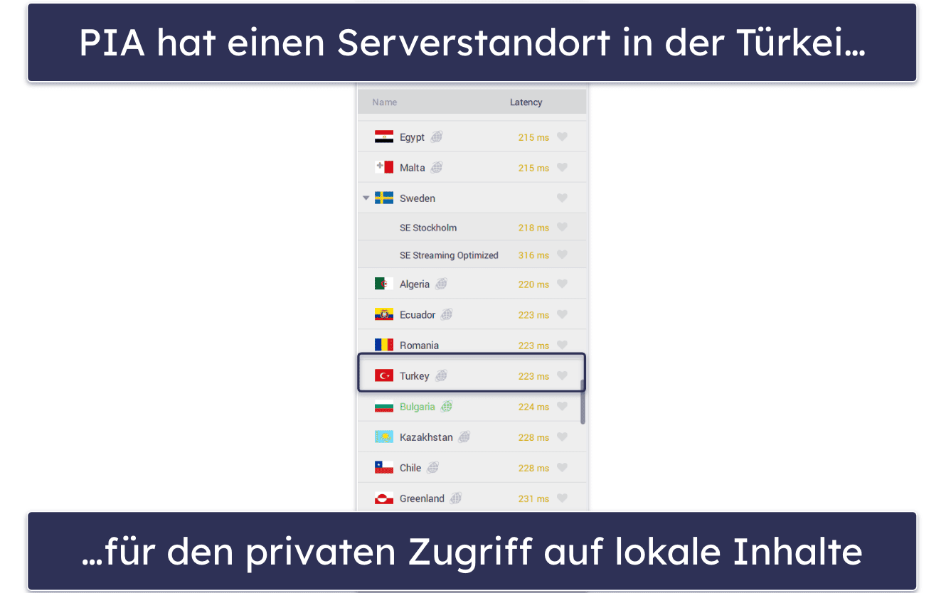 🥈2. Private Internet Access — Anpassbares VPN für die Türkei