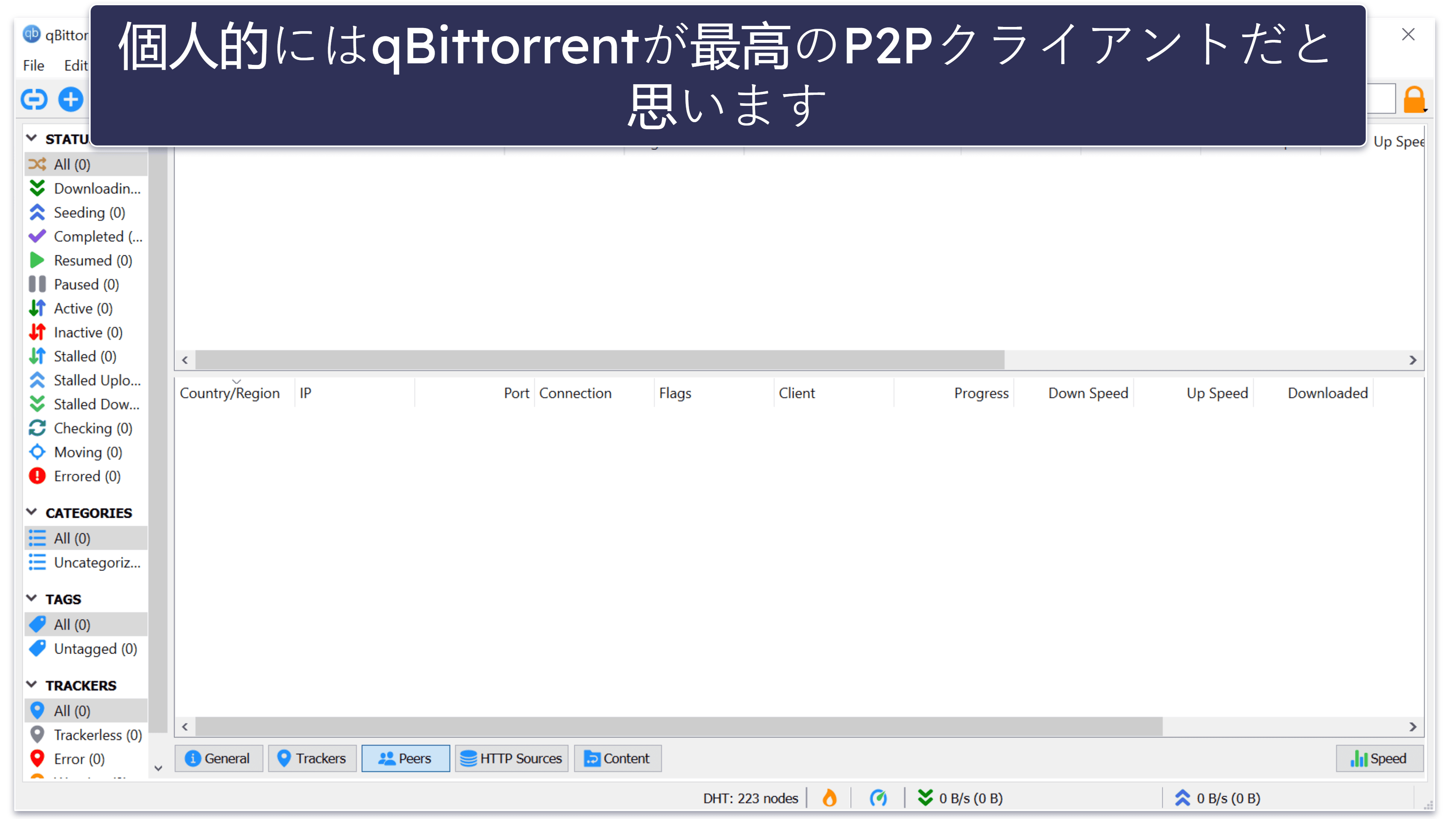 torrent とは？