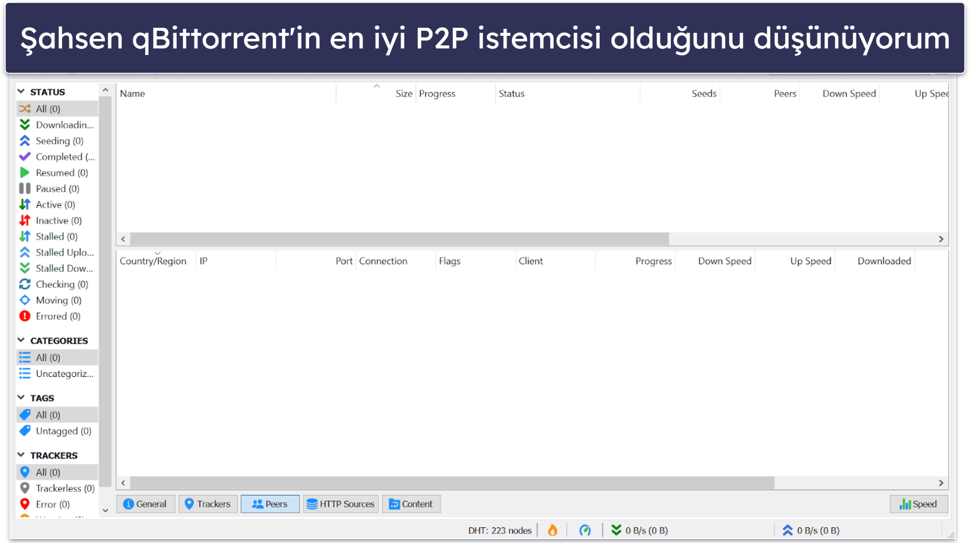 What Is Torrenting?