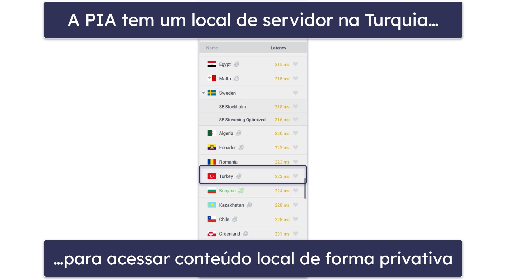 🥈2. Private Internet Access: VPN personalizável para a Turquia