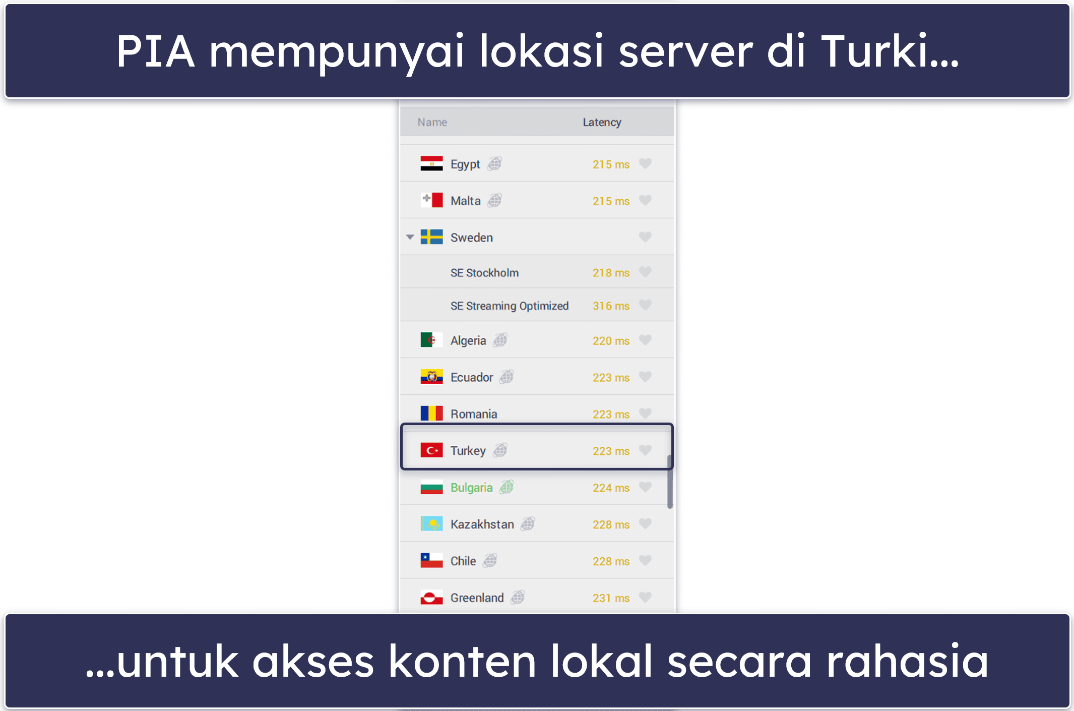 🥈2. Private Internet Access – VPN yang Dapat Disesuaikan untuk Turki
