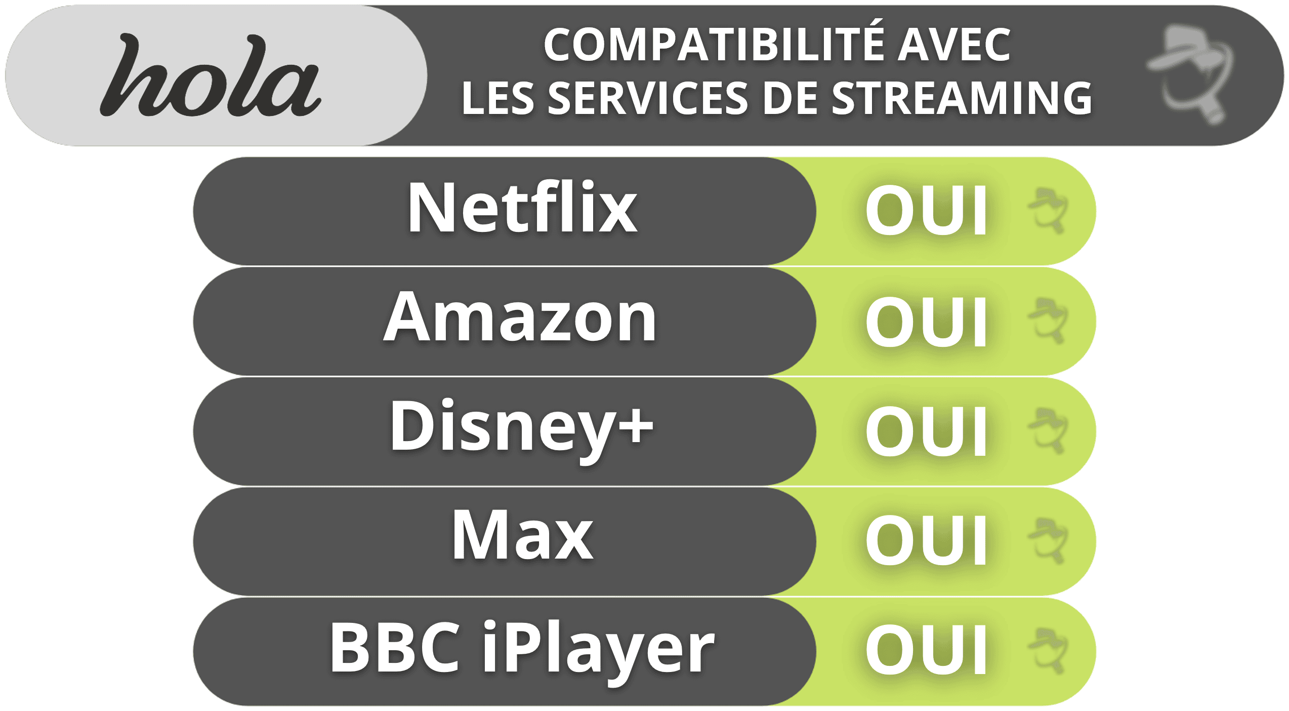Hola Streaming &amp; Torrenting — Bien pour le streaming, mais pas de support pour le Torrenting
